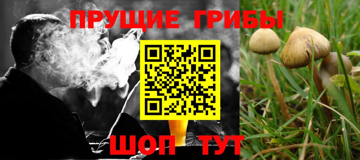 Черемхово  Галлюциногенные грибы прущие грибы  Вход с VPN 
